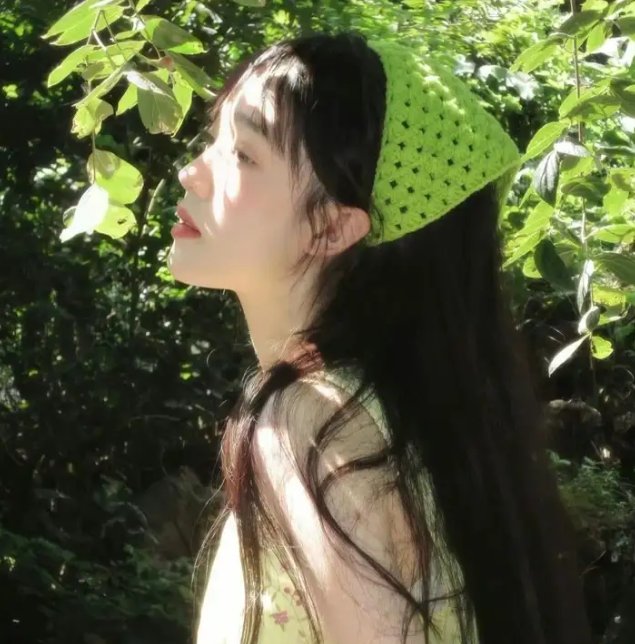 彩叶草之梦