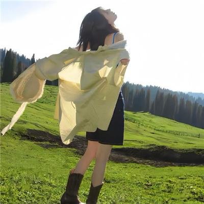 菜鸟老警第七季